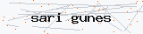 Güvenlik kodu